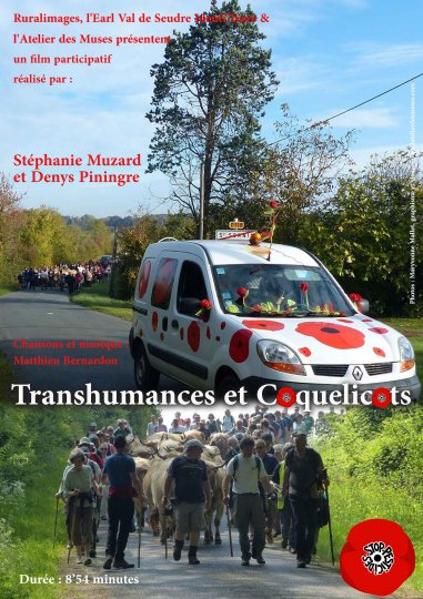 Transhumance et coquelicots