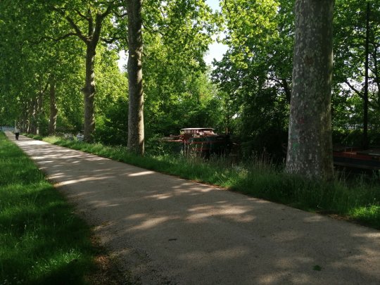  COVID 19 où Le'' DECOVID 19'' ? Comment ça marche chez vous ?... 12 MAI 2020.