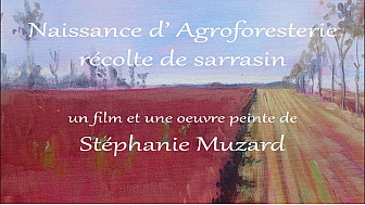 'Naissance d'Agroforesterie récolte de sarrasin' par Stéphanie Muzard 
