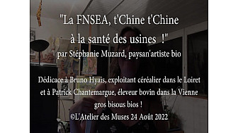 'FNSEA t'Chine, t'Chine, à la santé des usines !' par Stéphanie Muzard