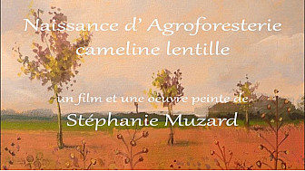'Naissance d'Agroforesterie cameline lentille' par Stéphanie Muzard