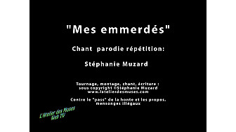 'Mes emmerdés' vidéoparodie de Stéphanie Muzard