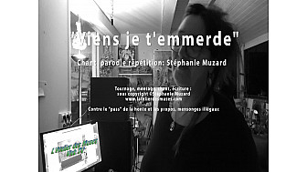 ' Viens , je t'emmerde' vidéoparodie de Stéphanie Muzard