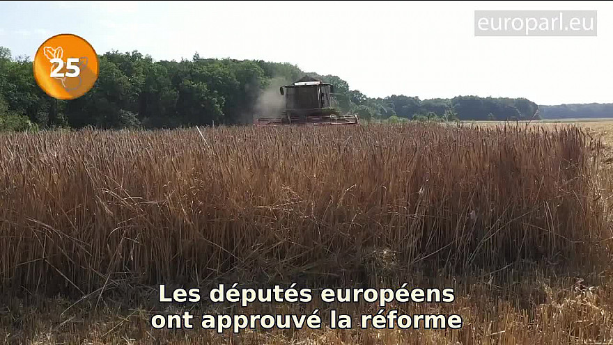 Parlement Européen : Points importants de la session plénière PAC, budget et « passe » de sécurité sociale